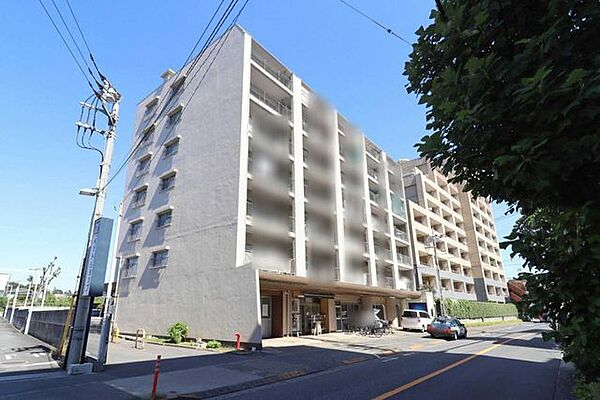 外観：313004468237