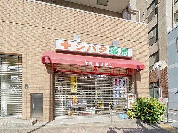 シバタ薬局 600m