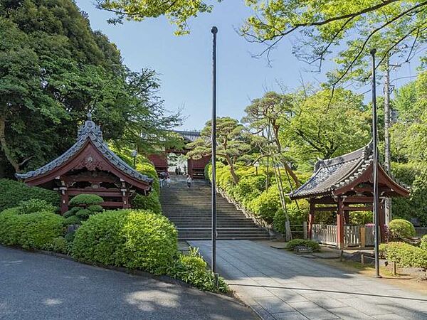 護国寺 800m