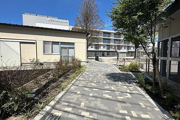 江戸川区立小岩小学校 50m