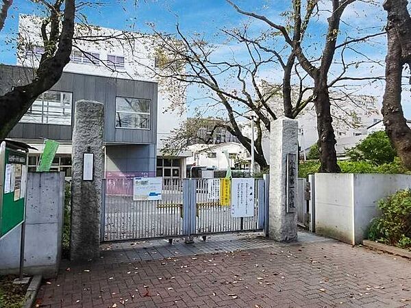 小金井第一小学校 700m