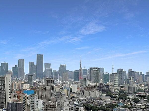 【東京タワー・東京スカイツリーを望む】※天候による※ズームあり