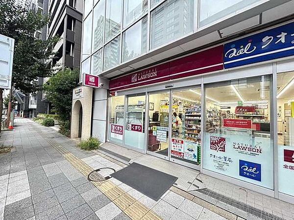 ナチュラルローソン NL高輪台駅前店 190m