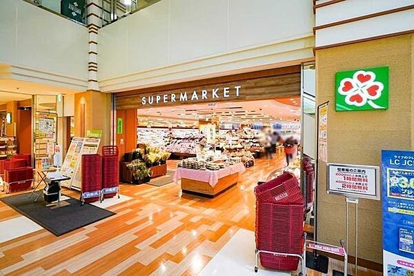 ライフ大崎ニューシティ店 550m