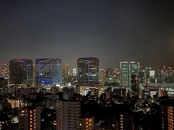 【夜景・レインボーブリッジを望む】※ズームあり