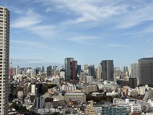 【東京タワー・東京スカイツリー】を望む※ズームあり