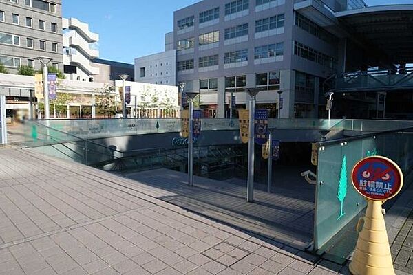 ピーコックストア　文京グリーンコート店 800m