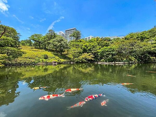 八芳園 1000m