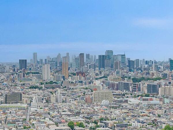 ズームあり・渋谷、新宿、中目黒方面