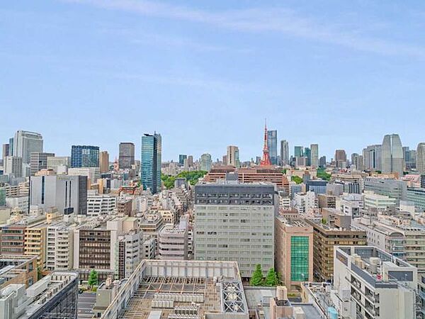 東京タワーを望む（天候による）※ズームなし