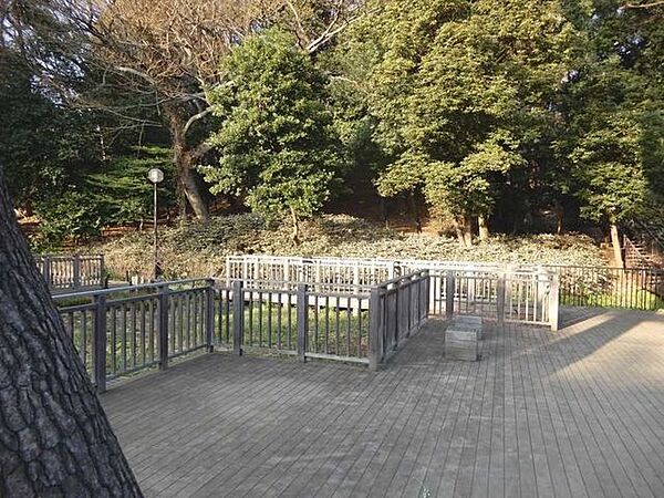 上野毛自然公園 310m