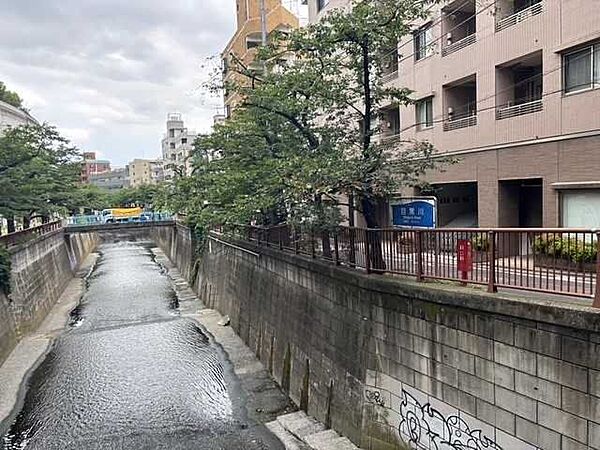 目黒川 300m