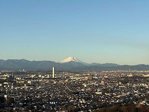 ズーム無し