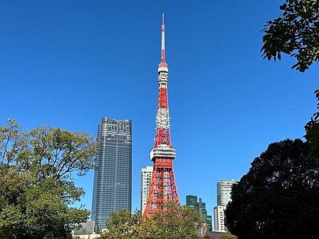 東京タワー 850m
