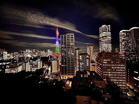 ズームなし