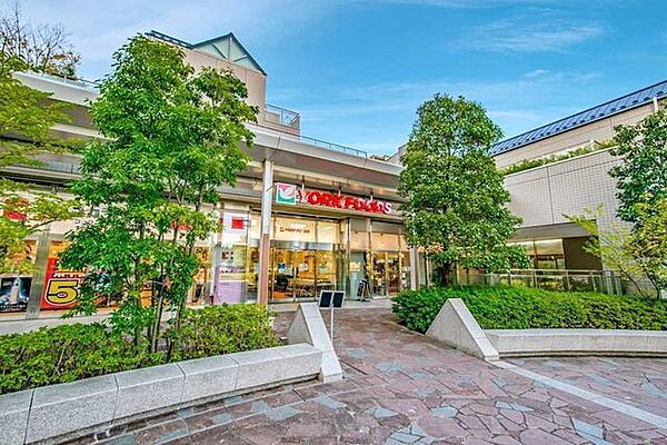 ヨークフーズ新宿富久店 850m