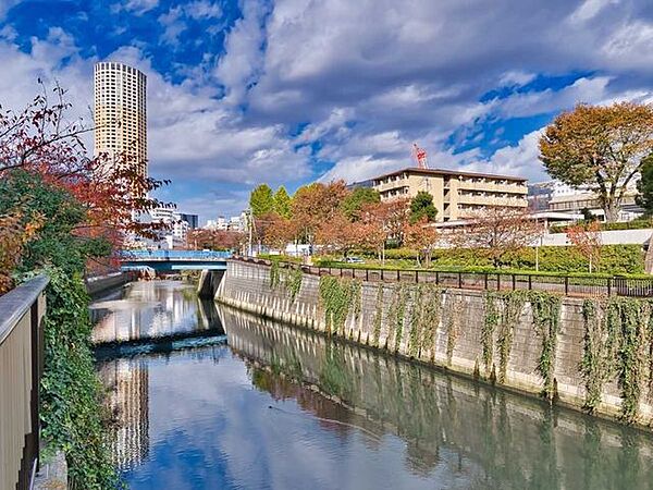 目黒川 10m