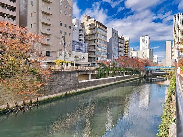 目黒川 10m
