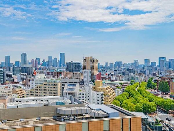 屋上