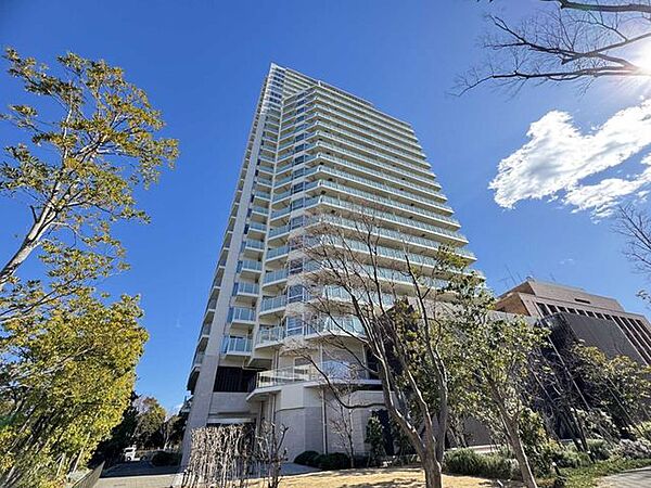 外観：313004654591