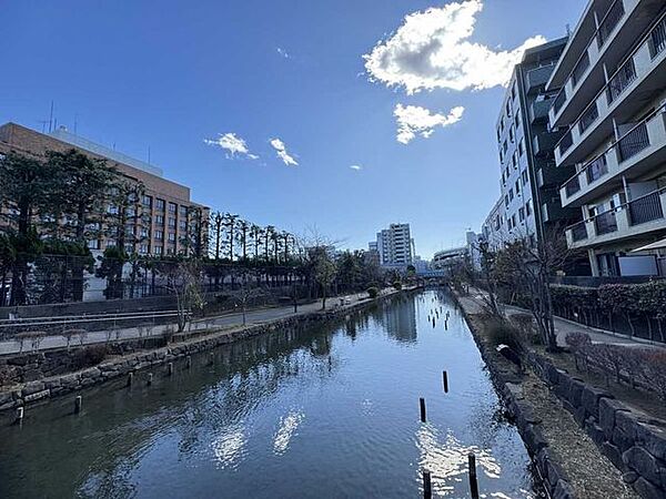 木場親水公園 10m