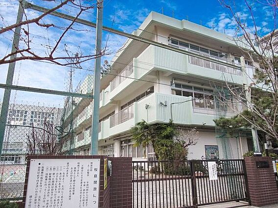 墨田区立緑小学...