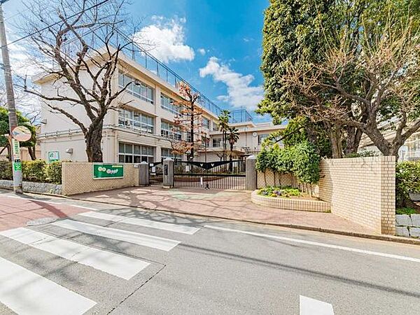 練馬区立開進第一中学校 330m