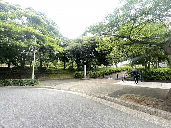 富士公園 60m