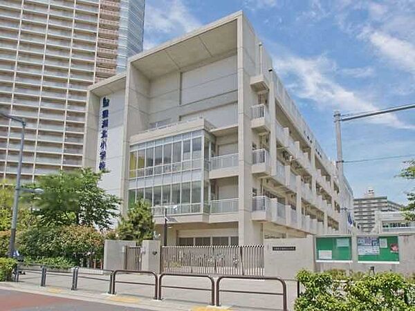 豊洲小学校 800m