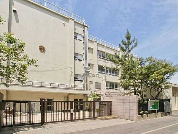辰巳中学校 900m