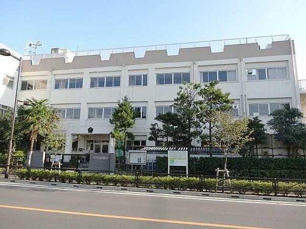 奥戸小学校 570m