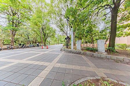 清澄公園 180m