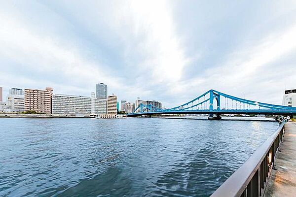 隅田川 50m
