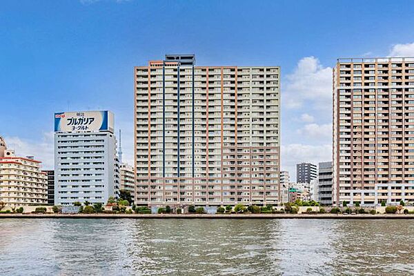 外観：313004460340