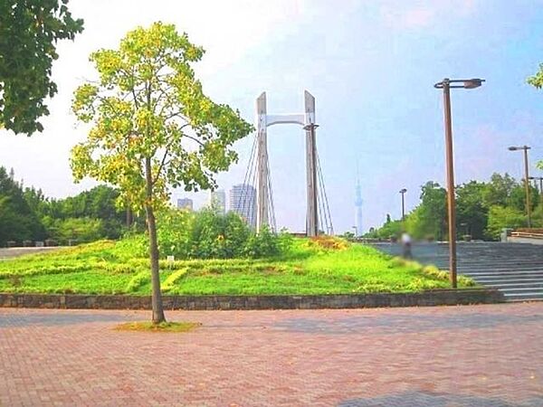 木場公園 195m