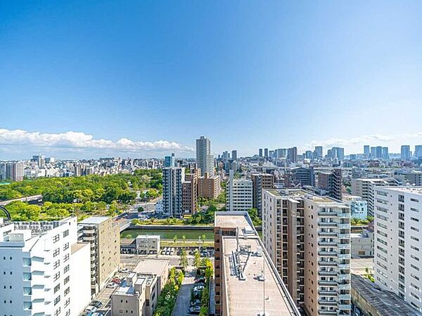 バルコニーから木場公園を望みます(天候による)