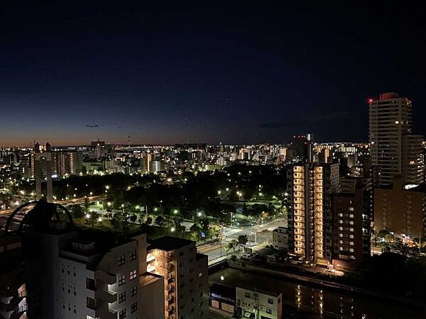 バルコニーから木場公園を望みます(天候による)