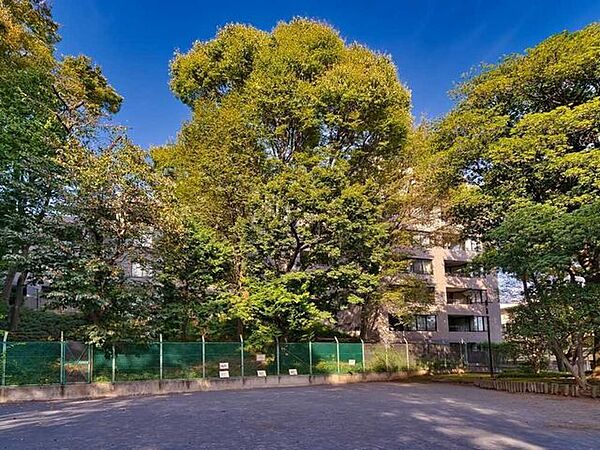 品川区立大井公園 80m