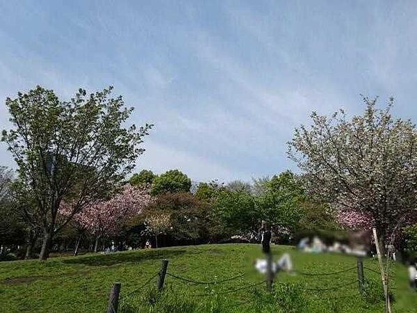 西郷山公園 1000m
