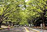 周辺：駒沢オリンピック公園 120m