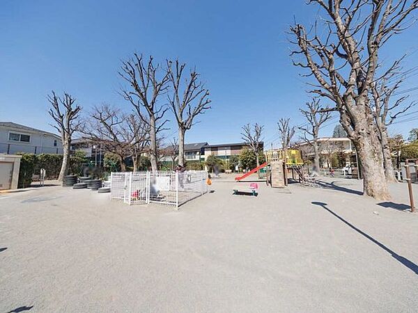石川公園 550m