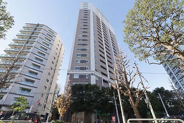 外観：313004501743