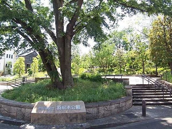 周辺を拡大表示