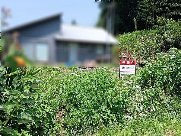 写真内の建物については隣地所有者様のものとなります。