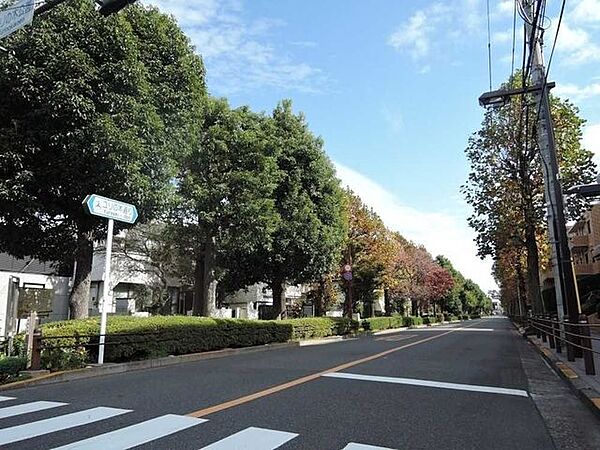 ユリの木通り