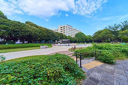 駒沢オリンピック公園 800m
