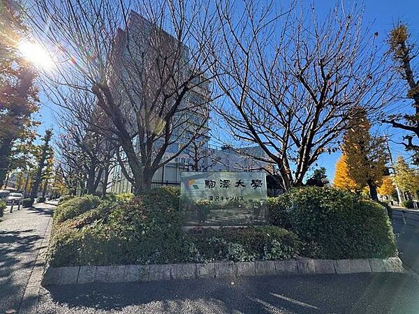 駒澤大学 1260m