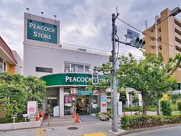 ピーコックストア桜新町店 1120m