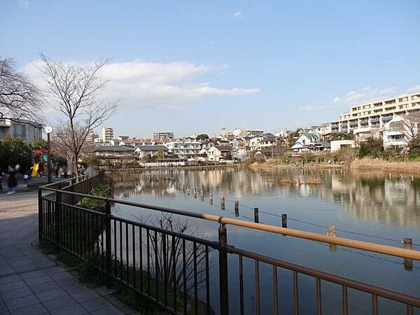 小池公園 800m