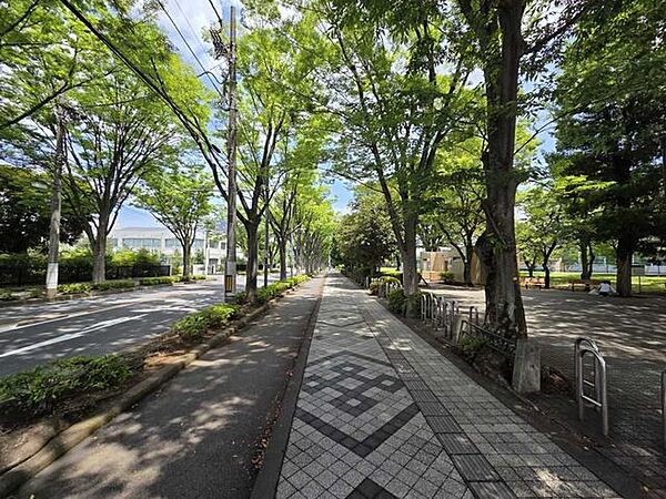 南大通り 50m